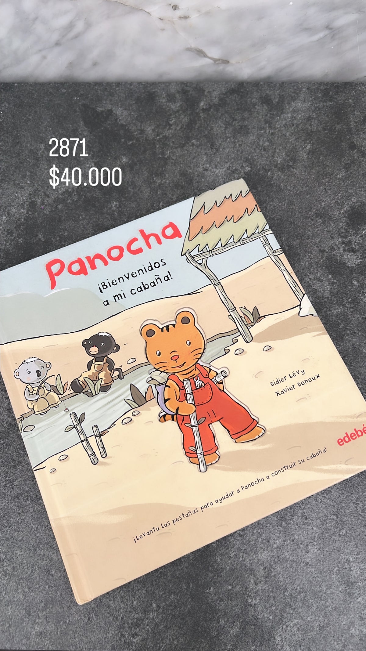 Libro  Color Panocha